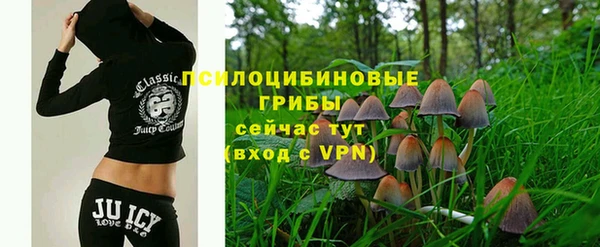 сатива Балахна