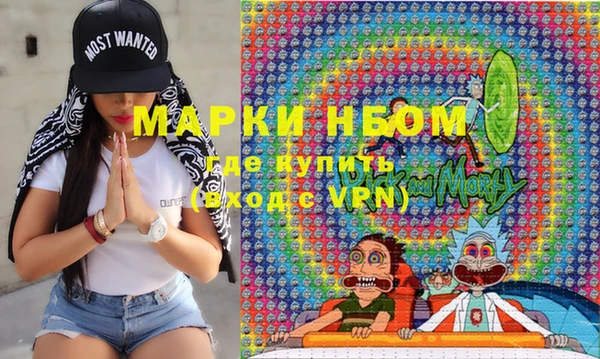 сатива Балахна