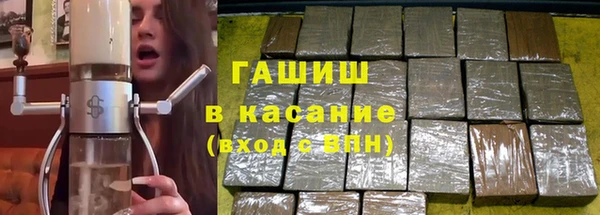 сатива Балахна