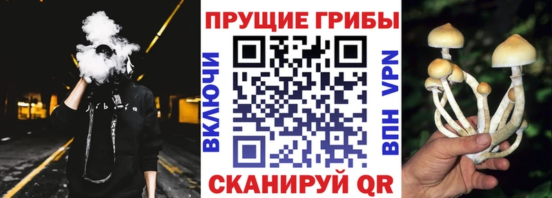 Псилоцибиновые грибы мицелий  Ульяновск 